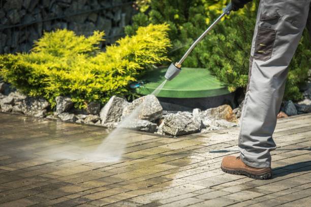 Best Pre-Holiday Cleaning  in Ferris, TX